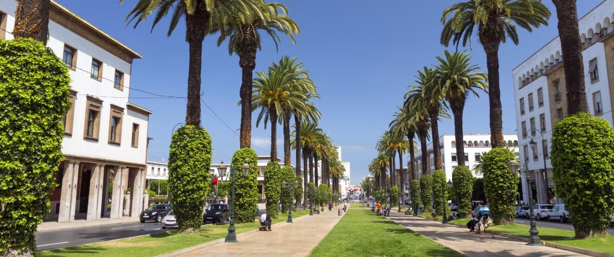 Guía Marrakech, Avenida Mohammed V