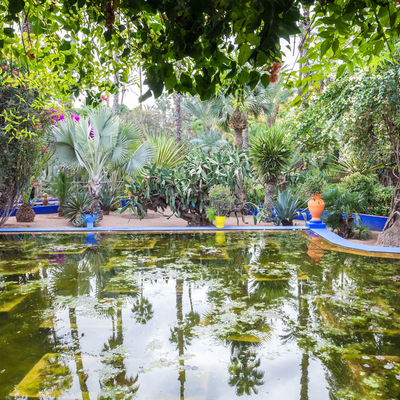 Guía Marrakech, Jardines Majorelle