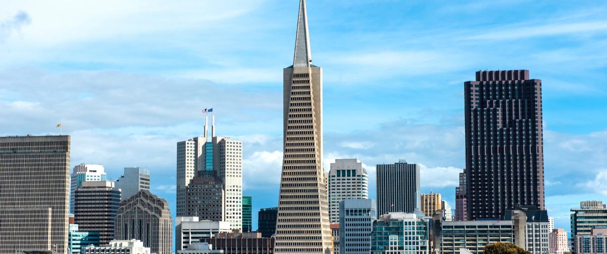 Guía San Francisco, Panorama