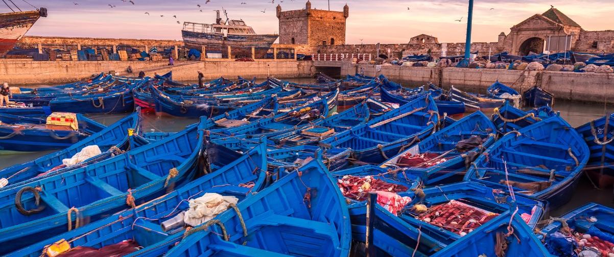 Guía Marrakech, Puerto de Essaouira