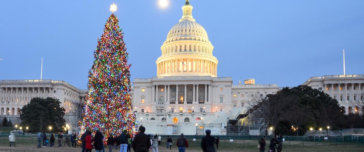 Guía Washington, Árbol Navidad Washington