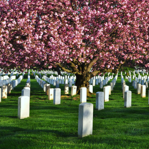 Guía Washington, Cementerio de Arlington