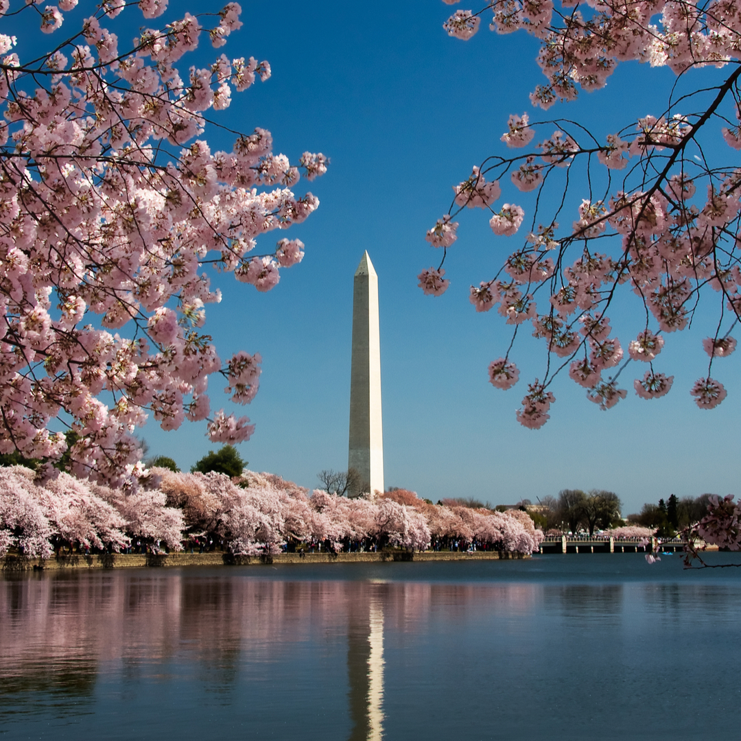 Guía Washington, Monumento a Washington