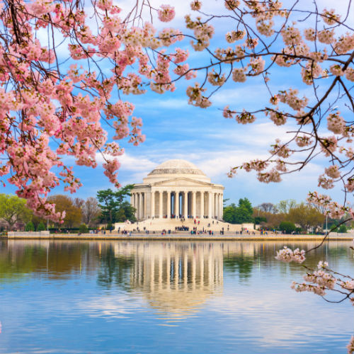 Guía Washington, Monumento a Jefferson