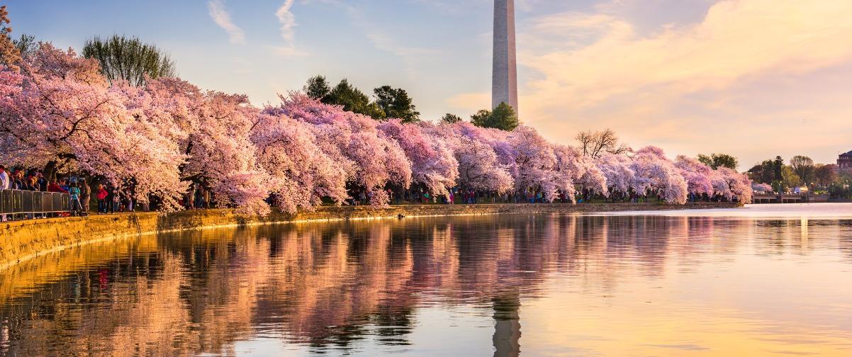 Guía Washington, Monumento a Washington