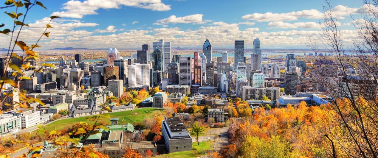 Guía Montreal, Panorámica