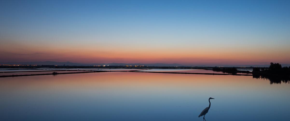 Guía Valencia, Albufera