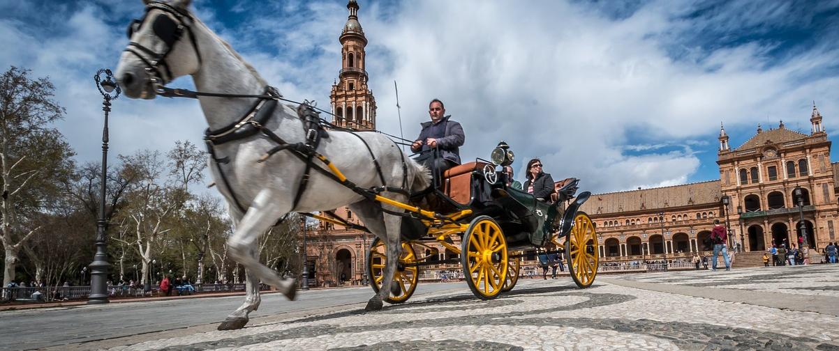 Guía Sevilla, Paseando en calesa