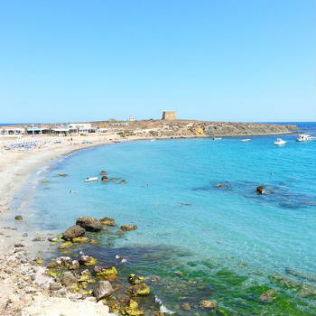 Guía Alicante, Isla de Tabarca