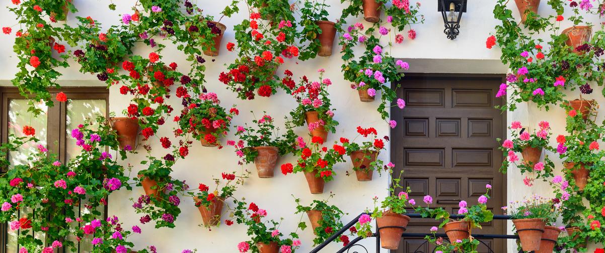 Guía Córdoba, Patio de las flores