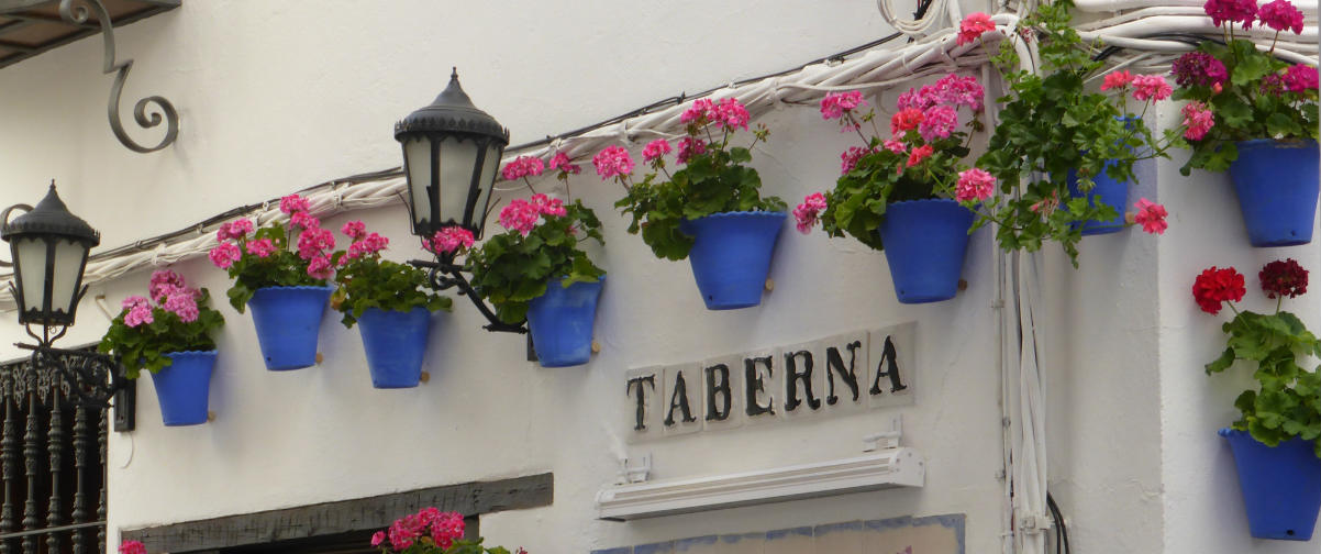 Guía Córdoba, Taberna típica andaluza