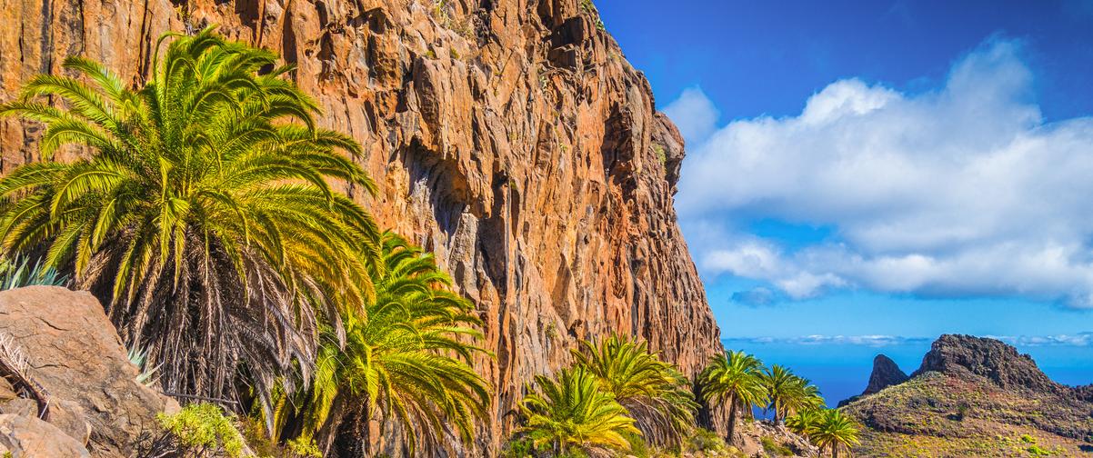 Guía Gran Canaria, Clima tropical