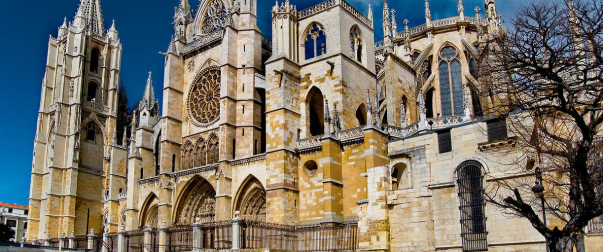 Guía León, Catedral