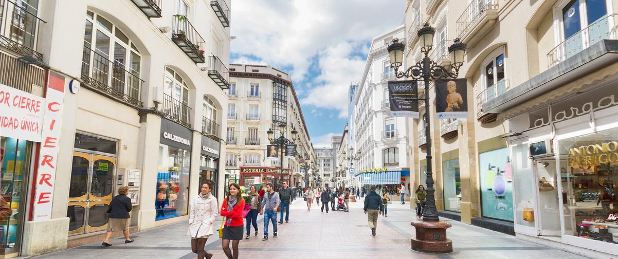 Guía Zaragoza, Calle comercial Zaragoza