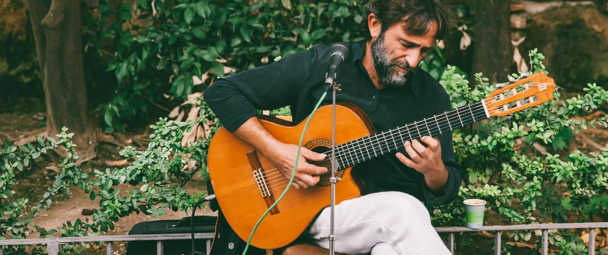 Guía Granada, Guitarra andaluza