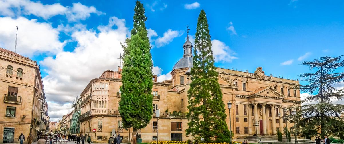 Guía Salamanca, Catedral