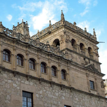 Guía Salamanca, Palacio de Monterrey