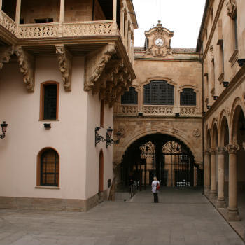 Guía Salamanca, Palacio de la Salina