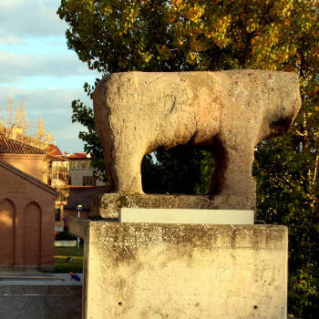 Guía Salamanca, Toro de piedra